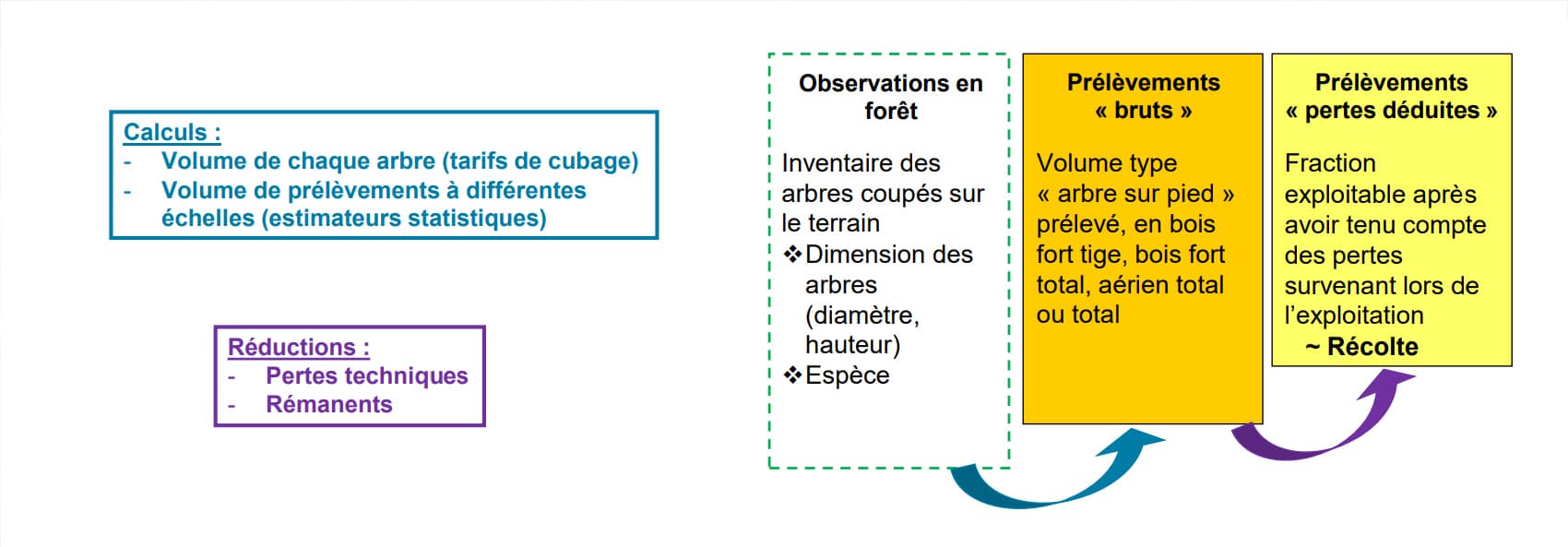 Schéma de calcul de l'IGN. Pour passer des « prélèvements bruts » observés en forêt aux « prélèvements pertes déduites » (comparables à la récolte), on soustrait les pertes techniques et les rémanents laissés sur place.