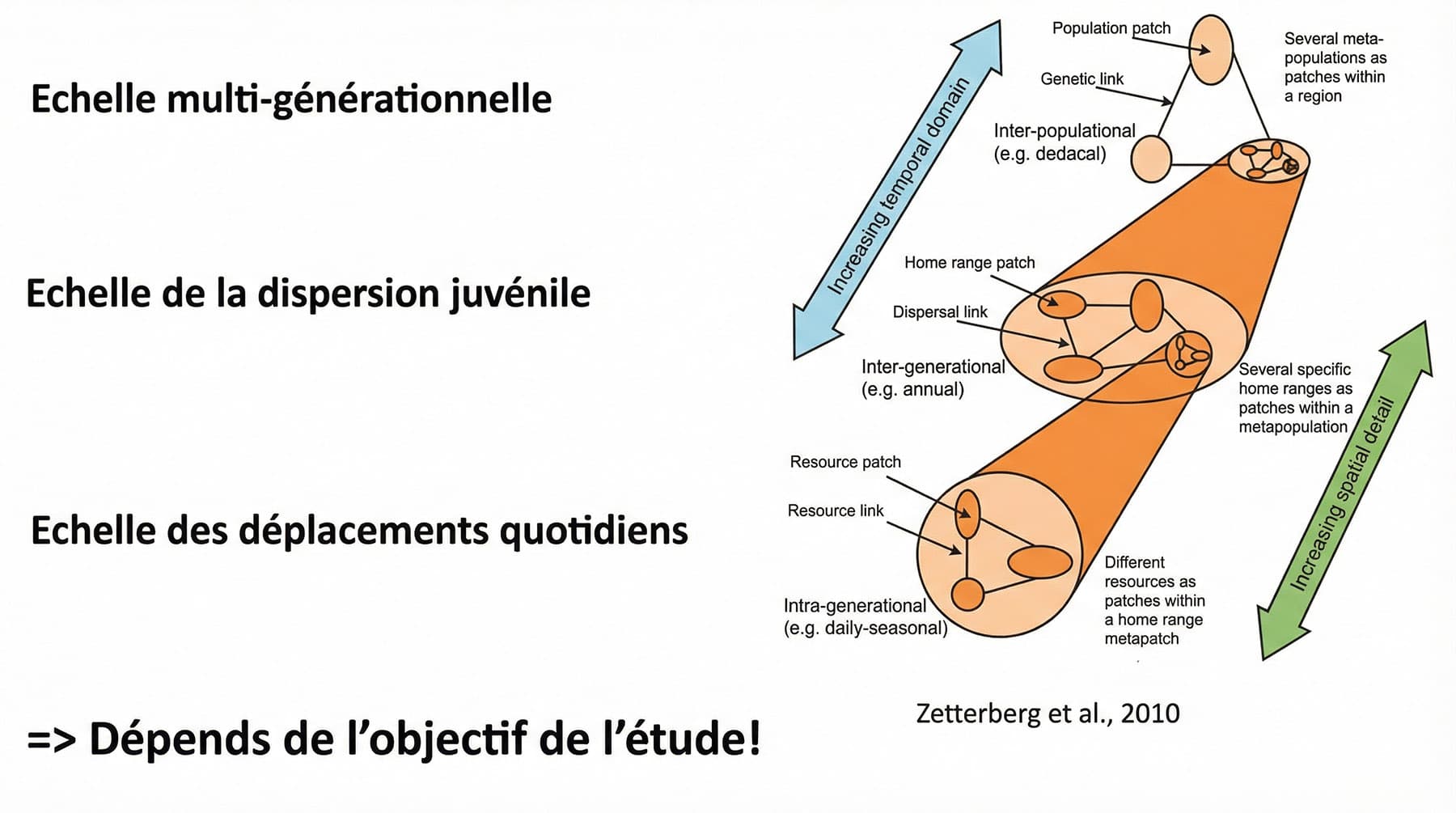 Figure 2 : Les différentes échelles spatio-temporelles de la connectivité écologique (d'après Zetterberg et al., 2010). L'approche de modélisation doit être adaptée selon que l'on étudie les déplacements quotidiens (recherche de ressources), la dispersion juvénile ou l'échelle multi-générationnelle.