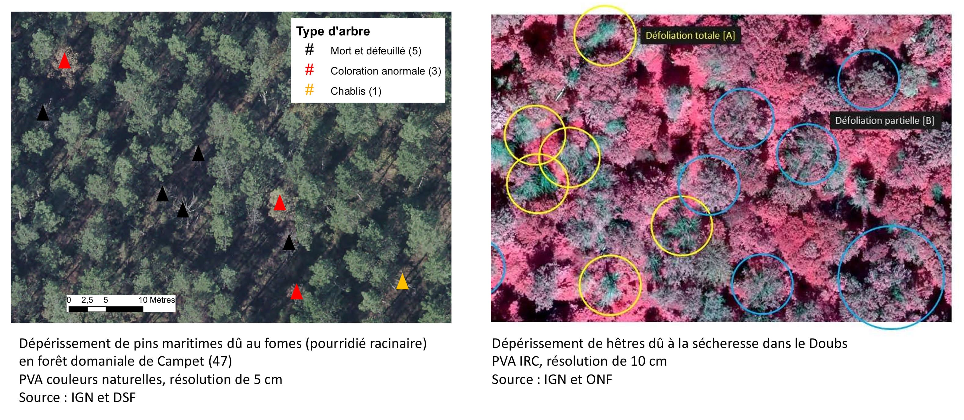 Suivi à l'arbre par images aériennes
