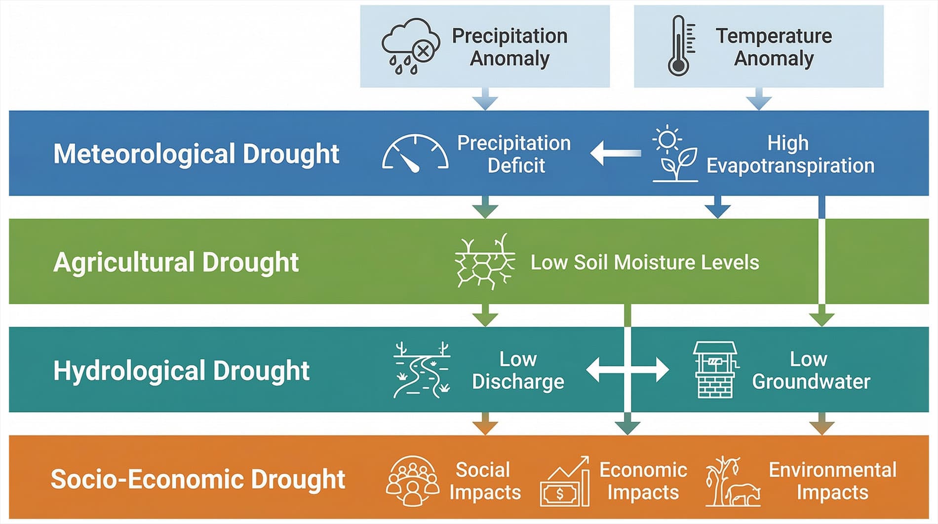 Schéma des mécanismes de la sécheresse et de sa propagation à travers l'écosystème.