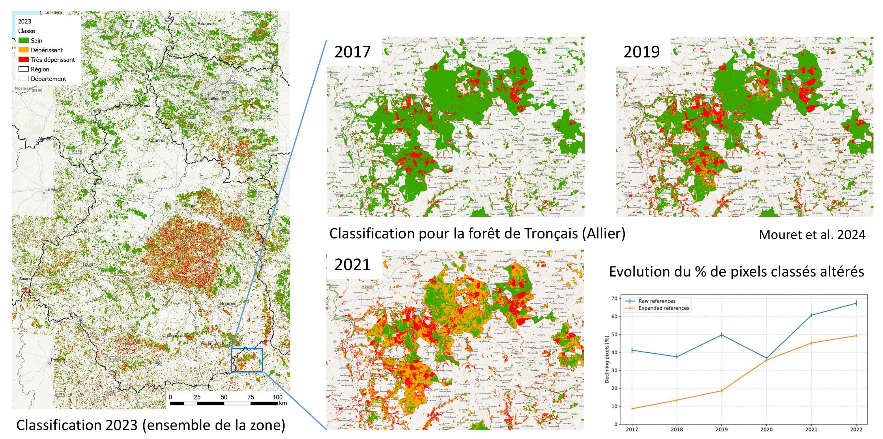 Suivi des dépérissements du chêne