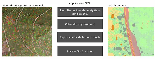 Visualisation 3D pour la DFCI et les OLD